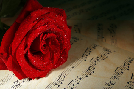 美丽的红玫瑰音乐纸上