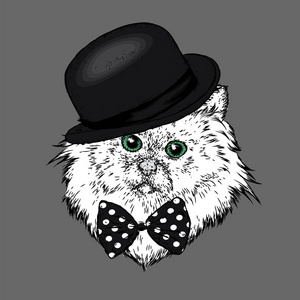 戴着帽子的猫图片