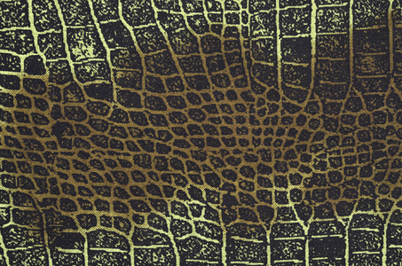 蛇皮花纹织物图片