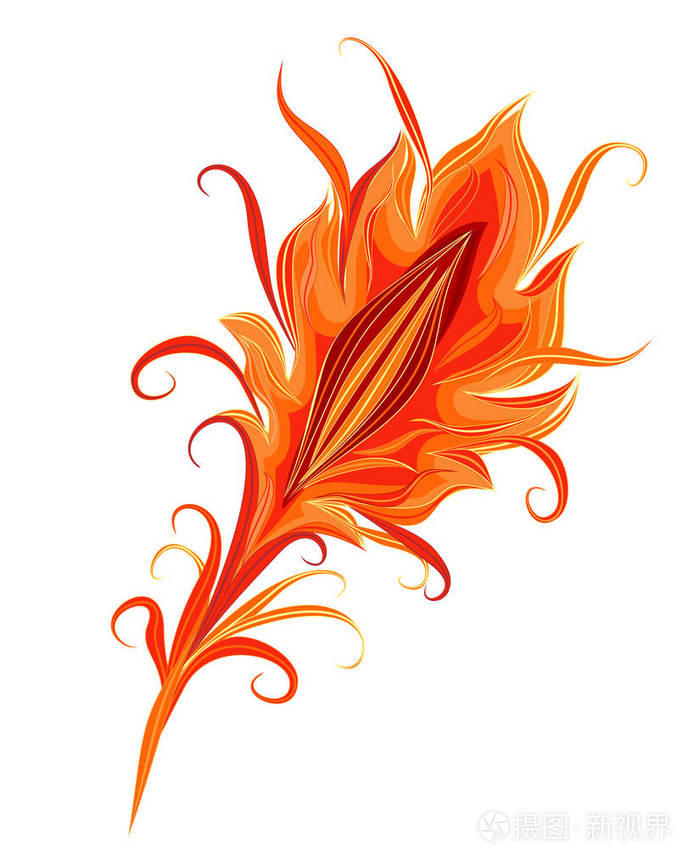 一只神奇的小鸟的羽毛一只神奇的小鸟的羽毛白色背景下复古风格中的