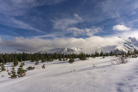 冬天风景在波兰人 Tatra 山