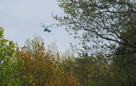 直升飞机飞越森林图片