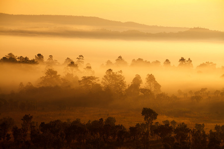 山童萨朗銮国家多雾的早晨日出图片