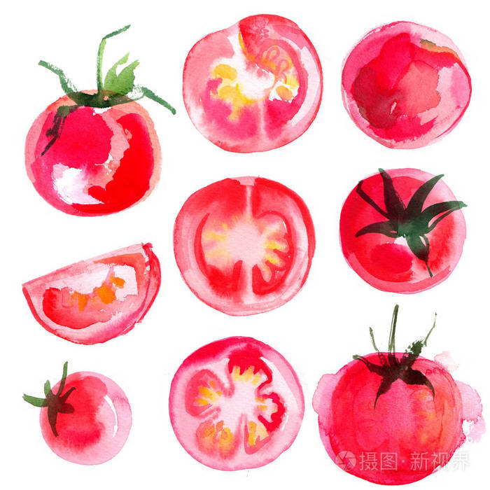 设置西红柿绘制背景。学习蔬菜