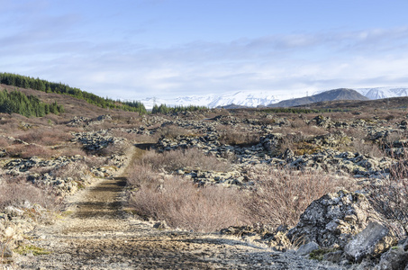 冰岛火山景观的春天