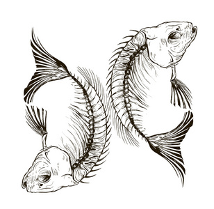 颈椎插画鱼骨架照片