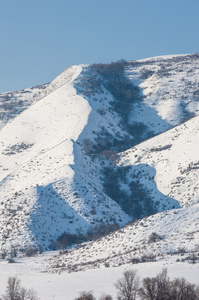 田北俊议员山