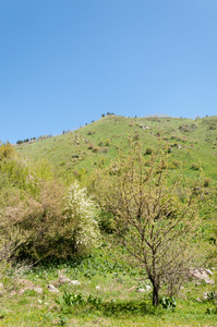 山公园。山阿拉木图，公园的第一任总统。哈萨克斯坦