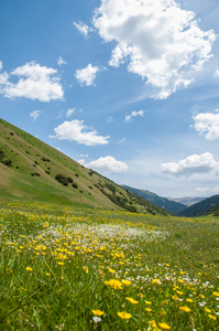 山，山，小山。哈萨克斯坦。田北俊山。总成高原