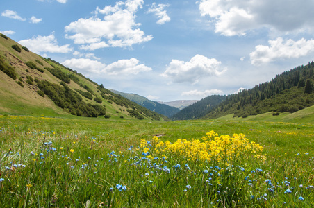 山，山，小山。哈萨克斯坦。田北俊山。总成高原