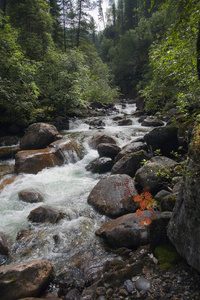 风雨如磐山河