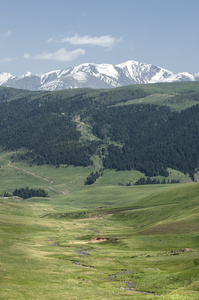 山，山，小山。哈萨克斯坦。田北俊山。总成高原