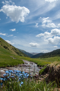 山，山，小山。哈萨克斯坦。田北俊山。总成高原