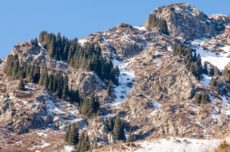 田北俊议员山