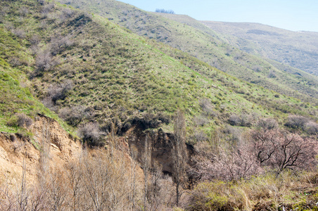 山泉水。哈萨克斯坦。田北俊山。美丽的风景的山景色