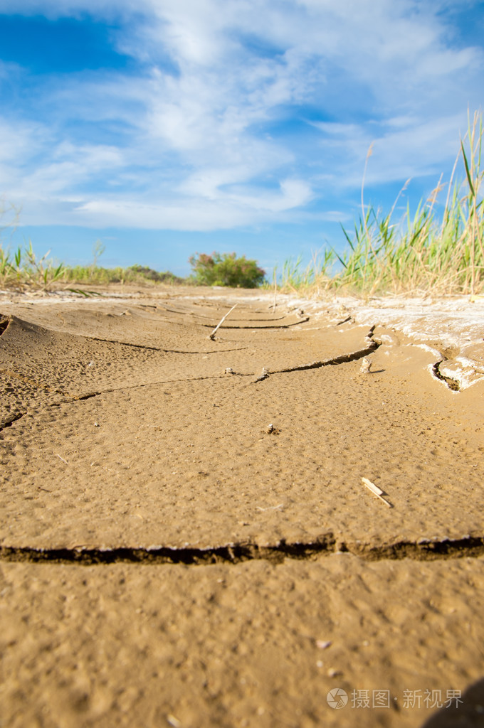 在地面的裂缝的纹理地球裂开在灿烂的阳光