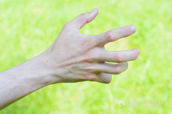 男性的手 伸手去拿上绿色的东西照片 正版商用图片0ehwk4 摄图新视界 男性的手 伸手去拿上绿色的东西照片 正版商用图片0ehwk4 摄图新视界