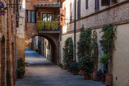小巷在托斯卡纳美丽的中世纪小镇
