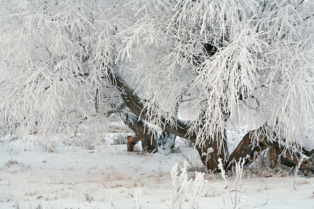 下雪的冬天俄罗斯