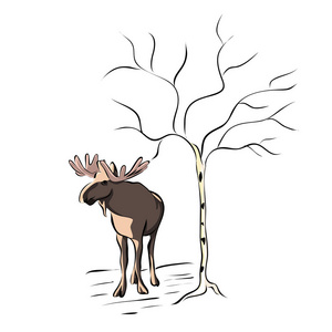 手绘动物驼鹿, 矢量照片