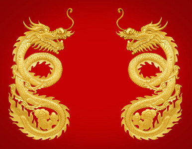 金艺琳金艺龙照片