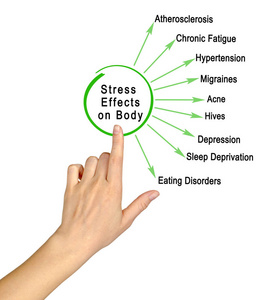 应力对身体的影响