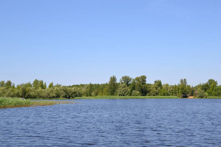舒适的家放松舒适的安静的游泳池在伏尔加河的夏天放松假日
