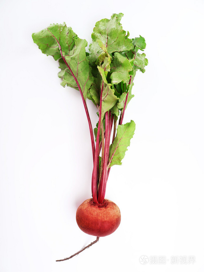 孤立在白色的新鲜甜菜