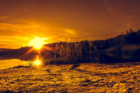 反射的太阳光图片