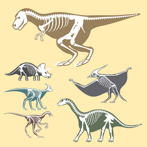 恐龙骨骼剪影设置化石骨暴龙史前动物恐龙骨向量平面图
