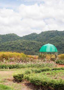 小金属馆