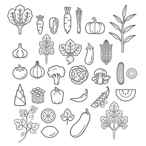 蔬菜矢量图图片