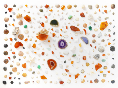 白色背景的贝壳未加工的琥珀天然石和海星的组成