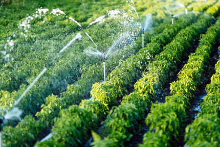 灌溉系统的功能图片