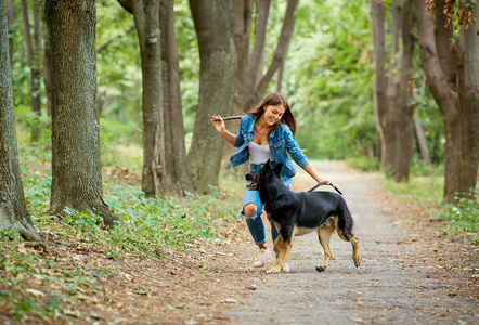 一个年轻的女孩和一只德国牧羊犬散步