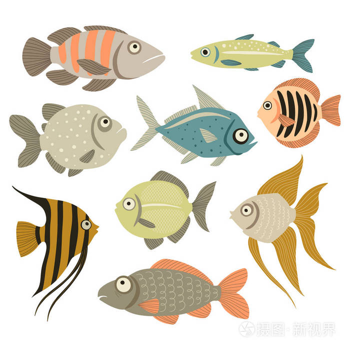 白色背景,矢量,插图的彩色鱼类收藏