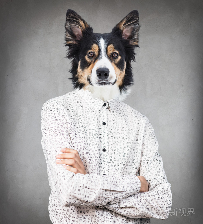 商人人与狗的头