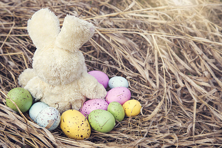 复活节彩蛋玩具兔子