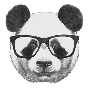 熊猫与眼镜的原始绘图搞笑熊猫交货服务矢量图可爱的熊猫活动图与人性