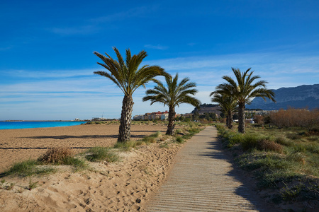 丹尼亚拉斯维加斯码头海滩棕榈树在西班牙