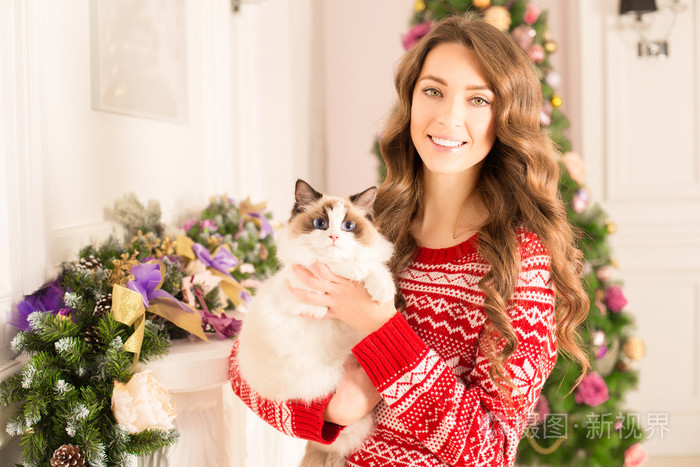 圣诞晚会，冬季假期女人与猫。新的一年的女孩。室内背景圣诞树