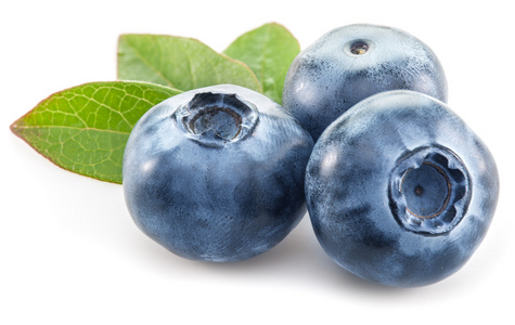 蓝莓在夏天图片