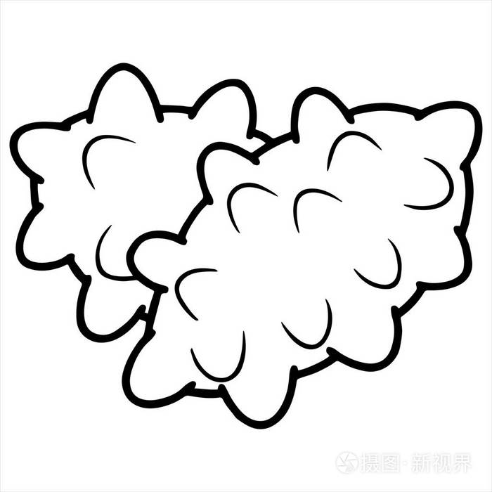 白色背景下卡通海参的矢量插图
