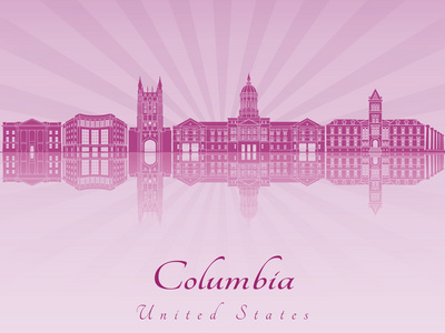 紫色的辐射兰花的哥伦比亚莫天际线
