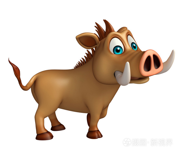 可爱的野猪滑稽的卡通人物