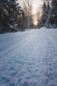 加拿大魁北克冷冬日落野生森林雪地车轨道