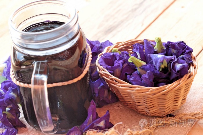 安臣开花水和新鲜的安臣花紫色