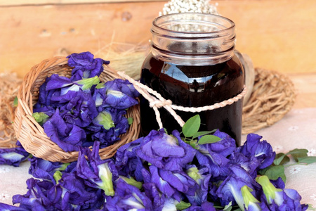 紫色开花安臣开花水和新鲜的安臣花紫色照片