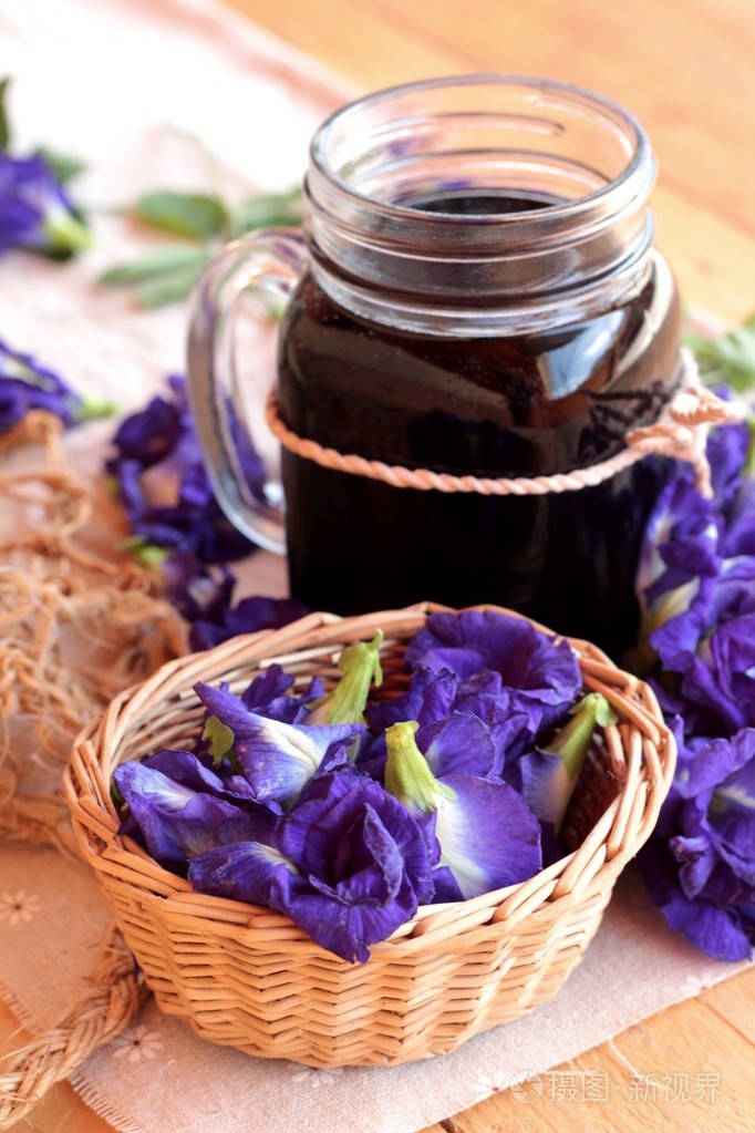 安臣开花水和新鲜的安臣花紫色