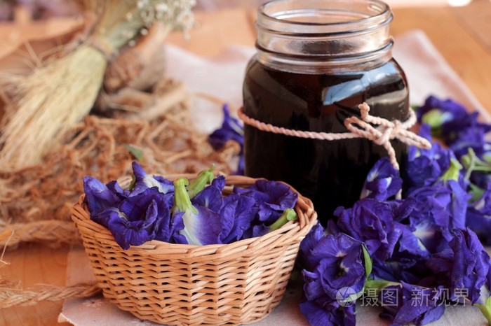 安臣开花水和新鲜的安臣花紫色